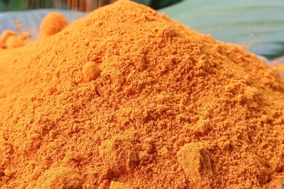 A mound of bright orange turmeric powder.