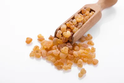 Golden tears of frankincense resin spilling from a wooden scoop onto a white surface.