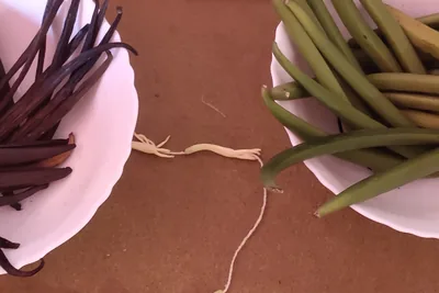Two white bowls side by side: one of dark, shrivelled cured vanilla pods, one of smooth green uncured pods.