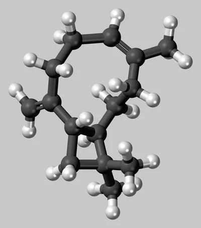 beta-caryophyllene molecule