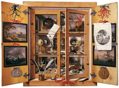 Trompe-l'oeil painting of an open wooden cabinet of curiosities, its shelves holding shells, coral, small pictures, a skull, quills and medals.