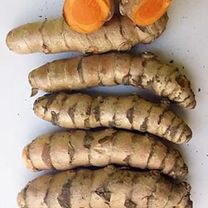 Turmeric rhizomes, one cut to show the orange inside